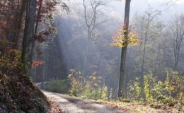 016 - kurven im herbst